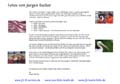 Schlussblatt_1_JB_V2